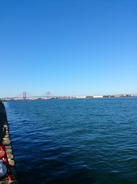 晴天！釣り日和！　リサーチです！ 2014/09/14 17:14:22