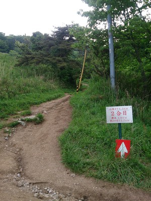 伊吹山　登山！