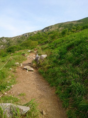 伊吹山　登山！