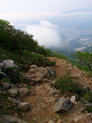 伊吹山　登山！