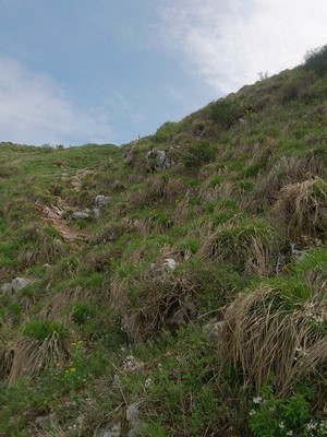 伊吹山　登山！