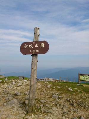 伊吹山　登山！