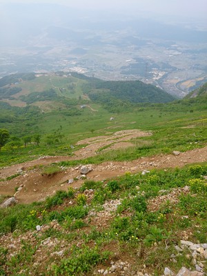 伊吹山　登山！