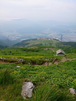 伊吹山　登山！