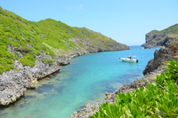 にっぽん丸で小笠原諸島：本編　四日目