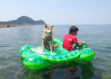 青井浜わんわんビーチ 犬と海水浴！ 〜L.W.D. EP 2〜 2016/08/10 00:13:10