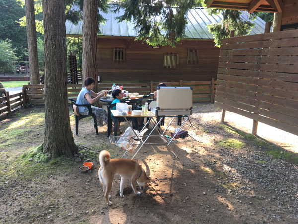 キャンプリゾート森のひととき 犬 ペット キャンプ 犬連れキャンプ ドッグラン