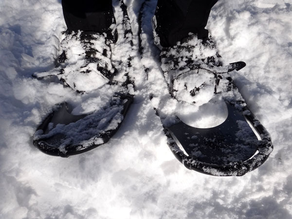 Northern Lites Snowshoes スノーシュー 軽量 ノーザンライツスノーシュー 