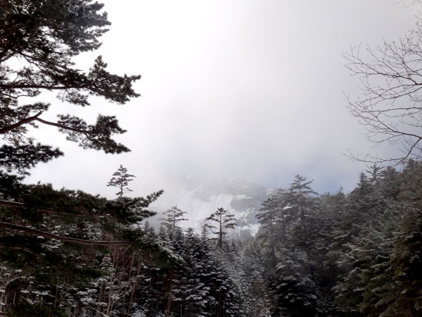 天狗岳 雪山テン泊 八ヶ岳登山 冬季 しらびそ小屋 本沢温泉