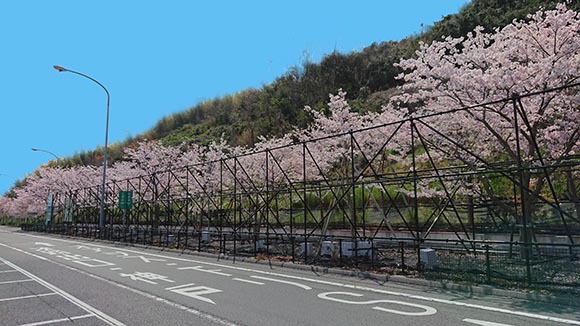 和食キャンプ in 淡路