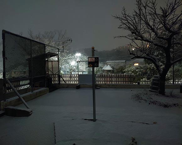 雪の庭キャンプ場