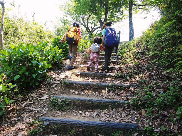 初めての山