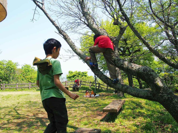 初めての山