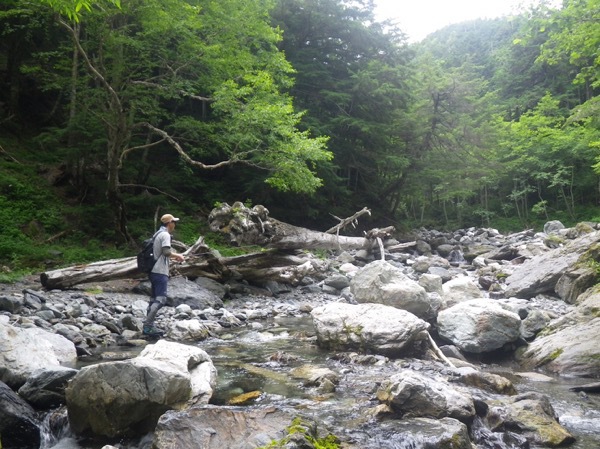 ２週連続で南アへ
