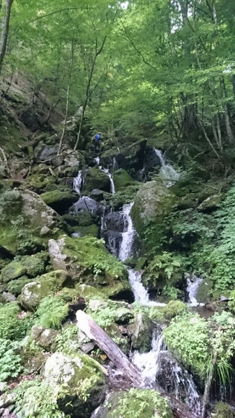 近場の沢の新規開拓