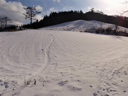 Snowyaking