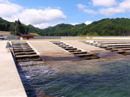 根浜海岸セーリング