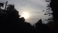 太陽、頑張れ！