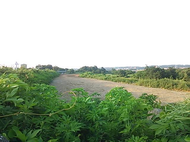 しじみのみそ汁　ツーリング
