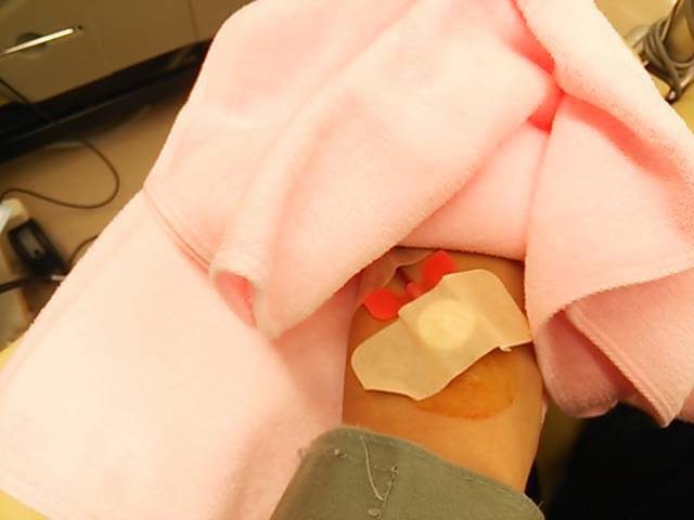 しじみのみそ汁　ツーリング