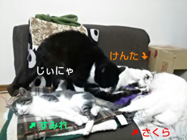 御無沙汰 道志の森キャンプ