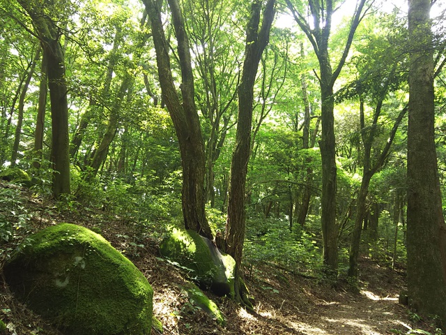 四国 キャンプツーリング④　小豆島Ⅲ　天空の城