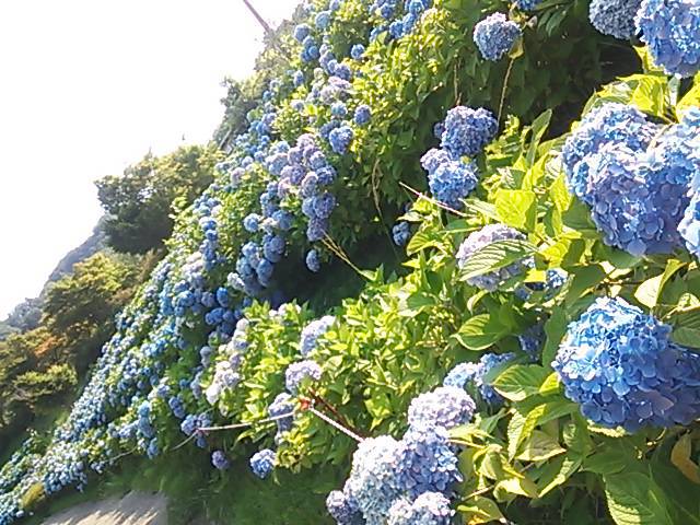 しじみのみそ汁　ツーリング
