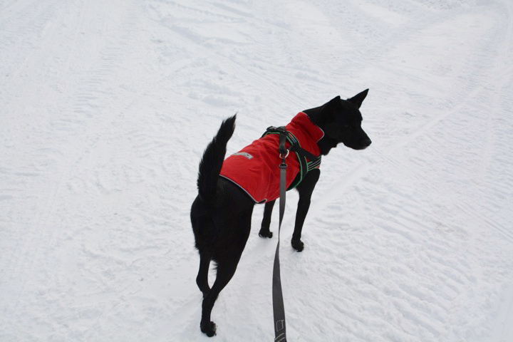 Snowshoe Trek 〜後編〜