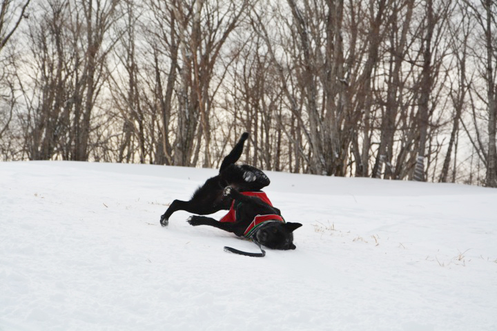 Snowshoe Trek 〜後編〜