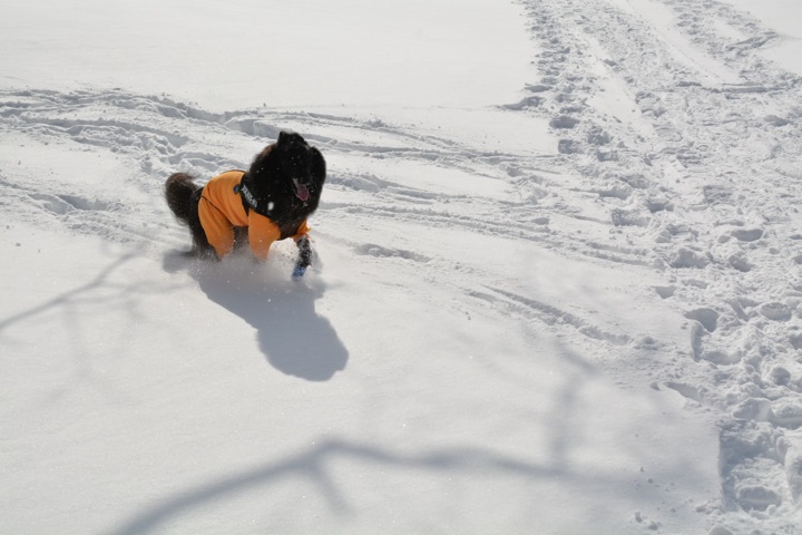 Snowshoe Trek 〜後編〜