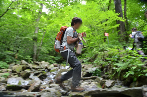 三頭山〜2014.7.5〜