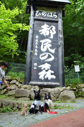 三頭山〜2014.7.5〜