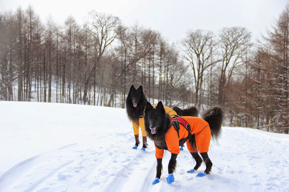 Snowshoe Trek 〜後編〜