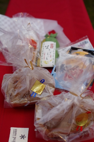 船折キャンプ場でメバル釣りキャンプ♪
