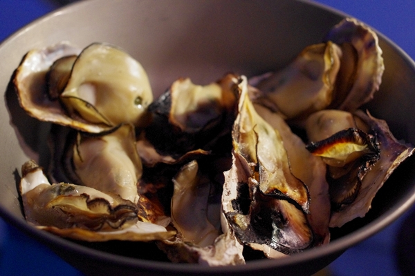 船折キャンプ場でメバル釣りキャンプ♪
