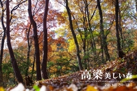 高梁美しい森で友キャン♪
