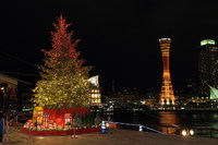 メリークリスマス 2013/12/24 08:00:00