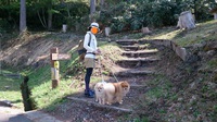 氷ノ山登山(キャンプ２日目) 2015/05/06 08:45:39