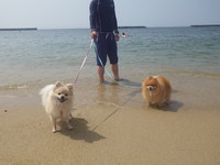 須磨で海水浴！ 2014/07/21 09:09:51