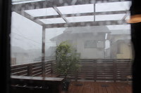 台風直撃ですやん(汗) 2014/08/10 11:57:38