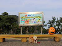 赤礁崎オートキャンプ場 2015/11/23 11:35:21