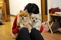 DIYなどしております・・・。 2016/03/06 17:35:57