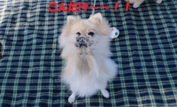 しあわせの村 2014/10/20 10:54:41