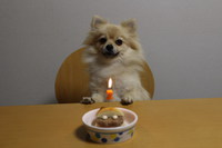 2歳の誕生日 2014/11/12 09:09:47