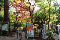 もみじ狩り(瑞宝寺公園) 2014/11/17 07:50:00