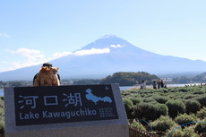 秋の大旅行　富士山編 2016/11/02 11:14:00