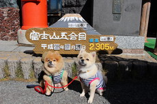 秋の大旅行　富士山観光編 2016/11/04 07:59:21