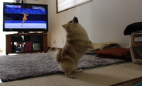 美味しいアイスクリーム屋さん見っけ！ 2014/02/24 08:00:00