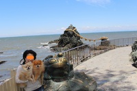 ペットＯＫ水族館＆お宿(三重県) 2015/06/09 08:53:22