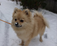 初雪に大はしゃぎ！ 2014/01/19 12:21:52